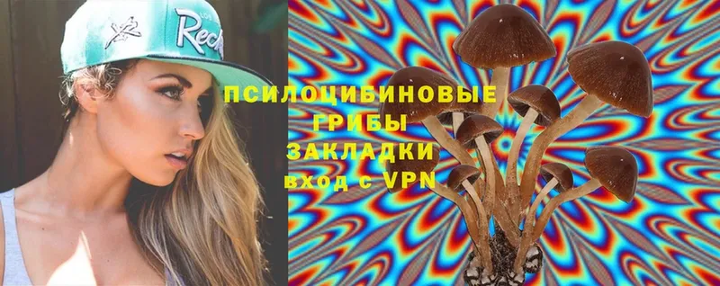 Псилоцибиновые грибы Psilocybe Зима